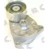 Натяжная планка, поликлиновой ремень AUTOKIT 3749932 RKT2921 AST29 21 03.81205