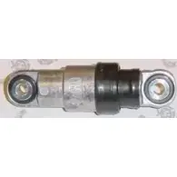 Амортизатор ремня AUTOKIT 3750030 03.81307 A ST3023 RKT3023