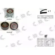 Комплект ремня ГРМ AUTOKIT 04.5096PA RKTK0907PA 3751270 AST K0907PA