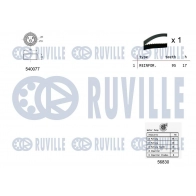 Водяной насос + комплект зубчатого ремня RUVILLE 5500321 1440086962 INO CZ - Изображение 2