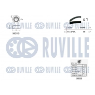 Водяной насос + комплект зубчатого ремня RUVILLE 7 T8DKFP 1440087338 5503251 - Изображение 2