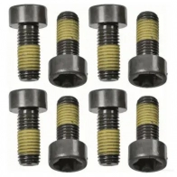 Комплект болтов маховика SACHS 1874 000 058 7060402 B 829VW 4013872850518