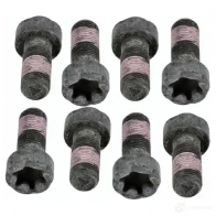 Комплект болтов маховика SACHS S5Z3G D 1199479299 4013872792092 1874 000 050