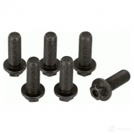 Комплект болтов маховика SACHS 1874 000 045 4013872774807 E MMO3 142398299