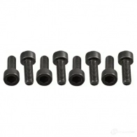 Комплект болтов маховика SACHS 4013872870271 C LDIJFK 1424464625 1874 000 062