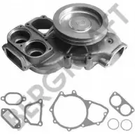 Водяной насос, помпа BERGKRAFT ZX10.00 19 ZX100019 3813547 BK2407711WP