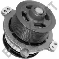 Водяной насос, помпа BERGKRAFT ZX160014 3815447 ZX16. 0014 BK7177711WP