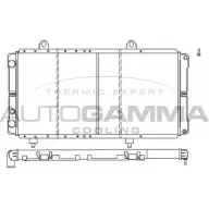 Радиатор охлаждения двигателя AUTOGAMMA Fiat Ducato (230) 1 Фургон 2.5 TD 4x4 109 л.с. 1994 – 1998 1BNFJ N MOER 100026