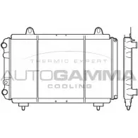 Радиатор охлаждения двигателя AUTOGAMMA 1TK L4HS Fiat Ducato (230) 1 Фургон 2.5 TD 4x4 109 л.с. 1994 – 1998 100035 O4BR2