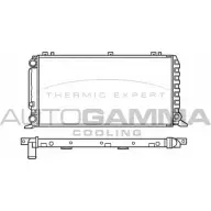 Радиатор охлаждения двигателя AUTOGAMMA Y L0YN 100047 3847644 WRYLC
