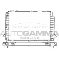 Радиатор охлаждения двигателя AUTOGAMMA E GZ6Y 3847647 100050 6ZJ9L