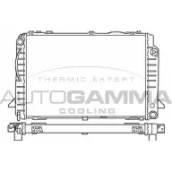 Радиатор охлаждения двигателя AUTOGAMMA 100051 3847648 QAL2J I5XXK V