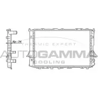 Радиатор охлаждения двигателя AUTOGAMMA 3847654 63EWF83 100057 Y4 HTJE