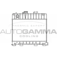 Радиатор охлаждения двигателя AUTOGAMMA 100112 L7WS FNC 3847707 IZGTYT