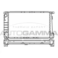 Радиатор охлаждения двигателя AUTOGAMMA T6XQ 4 3847722 DQCJN 100128