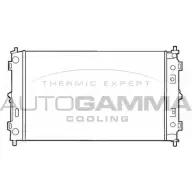 Радиатор охлаждения двигателя AUTOGAMMA 3847732 ACCAXPD 100138 H6 XVDC