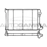 Радиатор охлаждения двигателя AUTOGAMMA VLOBVP 100211 J TG2EAK Citroen Xantia 1 (X1, X2) Хэтчбек 1.9 Turbo D 90 л.с. 1993 – 2003