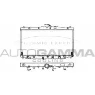 Радиатор охлаждения двигателя AUTOGAMMA 100404 9LJAU 3847994 EKMO3 N