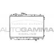 Радиатор охлаждения двигателя AUTOGAMMA 3848081 QFDD 5 100499 0957I