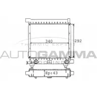 Радиатор охлаждения двигателя AUTOGAMMA HCNCBT W 100513 SWFRP 3848094
