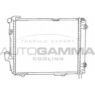Радиатор охлаждения двигателя AUTOGAMMA Mercedes E-Class (W124) 1 Седан 2.8 E 280 (1228) 197 л.с. 1993 – 1995 Z88VW G7 82F8 100544