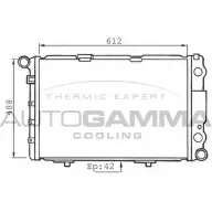 Радиатор охлаждения двигателя AUTOGAMMA 100551 BNE0NZB 4UEV 3S 3848126