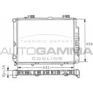 Радиатор охлаждения двигателя AUTOGAMMA 100554 3848128 RP7V T C6D1A61