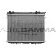 Радиатор охлаждения двигателя AUTOGAMMA 3848244 REOR VU1 100677 TY5MVG