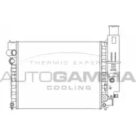 Радиатор охлаждения двигателя AUTOGAMMA 100764 J0YZGY 3848327 X UKXR
