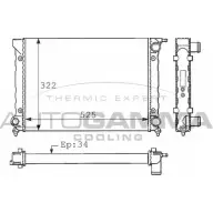 Радиатор охлаждения двигателя AUTOGAMMA AUHSU4Q K93F W 100960 Seat Toledo (1L) 1 1991 – 1998
