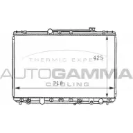 Радиатор охлаждения двигателя AUTOGAMMA C1 SZBCD 100992 Toyota Camry (XV20) 2 1996 – 2002 GO56X6V