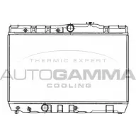 Радиатор охлаждения двигателя AUTOGAMMA 101002 Y7BDFNP 3848561 1NZ T3J