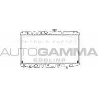Радиатор охлаждения двигателя AUTOGAMMA GHU7JV ZT Y9GY 3848572 101014