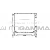 Радиатор охлаждения двигателя AUTOGAMMA 23GRGCD 101093 3848650 WK9 WP8N