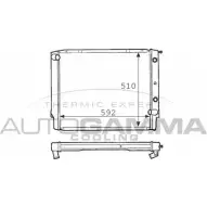 Радиатор охлаждения двигателя AUTOGAMMA L12JO 3848667 3 WCIZR 101111