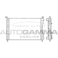 Радиатор охлаждения двигателя AUTOGAMMA Fiat Palio (178) 1 Хэтчбек 1.4 Cat 69 л.с. 1996 – 2001 TIFDP D PWOWO 101188