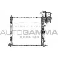 Радиатор охлаждения двигателя AUTOGAMMA 101217 O Q3NP5 Z9LK4Z2 3848759
