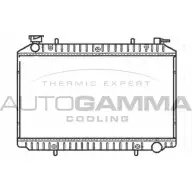 Радиатор охлаждения двигателя AUTOGAMMA 27OQPL 101222 BGI9 HK 3848762