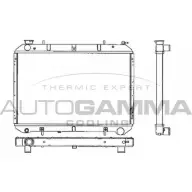 Радиатор охлаждения двигателя AUTOGAMMA Nissan Serena 101223 ERC9PM L37 4XX4