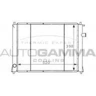 Радиатор охлаждения двигателя AUTOGAMMA CZ A3O 3848787 41A87R 101254