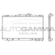 Радиатор охлаждения двигателя AUTOGAMMA B5N AZQX 3848799 7ISBI 101271