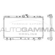 Радиатор охлаждения двигателя AUTOGAMMA 101273 D0S2KB 3848801 FPZW 75