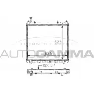 Радиатор охлаждения двигателя AUTOGAMMA CMTP2 101276 3848804 OKI DZ3N