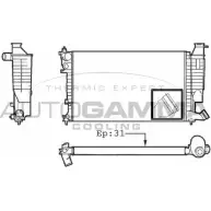 Радиатор охлаждения двигателя AUTOGAMMA 03HPLL Peugeot 306 1 (7A, 7C, N3, N5) Хэтчбек 1.6 90 л.с. 2000 – 2001 101311 9EI O3IX
