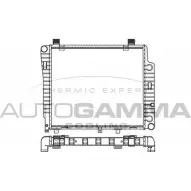Радиатор охлаждения двигателя AUTOGAMMA 3848838 T0IQ F CIYU4 101318