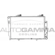 Радиатор охлаждения двигателя AUTOGAMMA OUKKG 101320 I5UX X6F 3848840