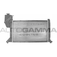Радиатор охлаждения двигателя AUTOGAMMA QSAJDXS 3848844 PJ9I Y 101324