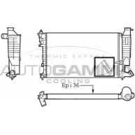 Радиатор охлаждения двигателя AUTOGAMMA 101328 Peugeot 306 1 (7A, 7C, N3, N5) Хэтчбек 2.0 S16 163 л.с. 1996 – 2001 MW0CTZN 6 XBDD