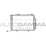 Радиатор охлаждения двигателя AUTOGAMMA 101379 Mercedes C-Class (S202) 1 Универсал 2.2 C 200 T CDI (2094) 102 л.с. 1998 – 2001 2HG2 R 2NLTA