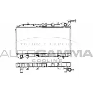 Радиатор охлаждения двигателя AUTOGAMMA OJ V69 3848900 101391 EWIQZ